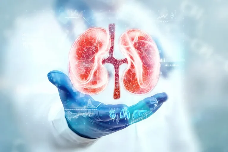 kidney