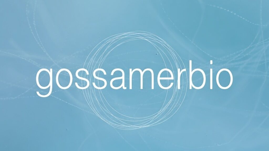 Gossamer